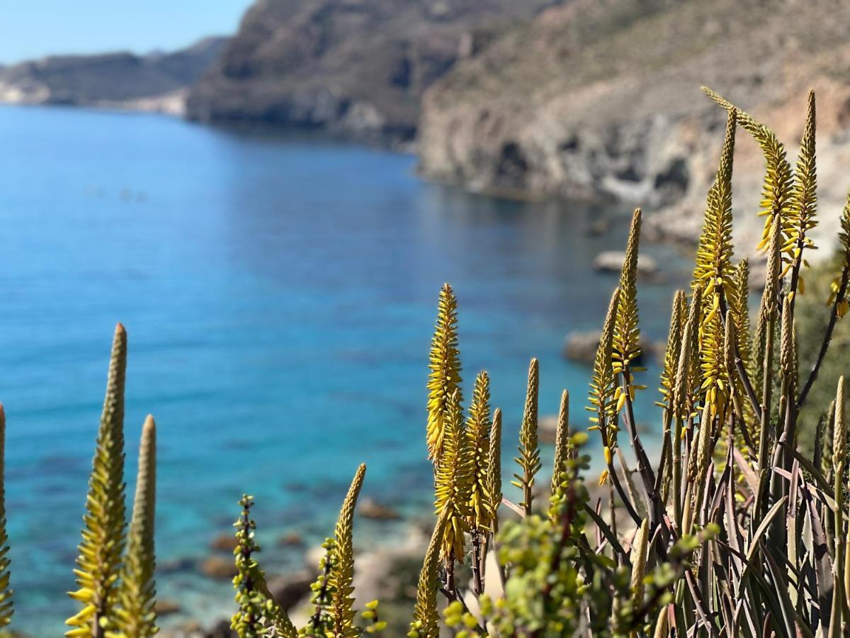 Apartamento De 3 Dormitorios A 60 M De La Playa En La Isleta, Cabo De Gata La Isleta del Moro Eksteriør bilde